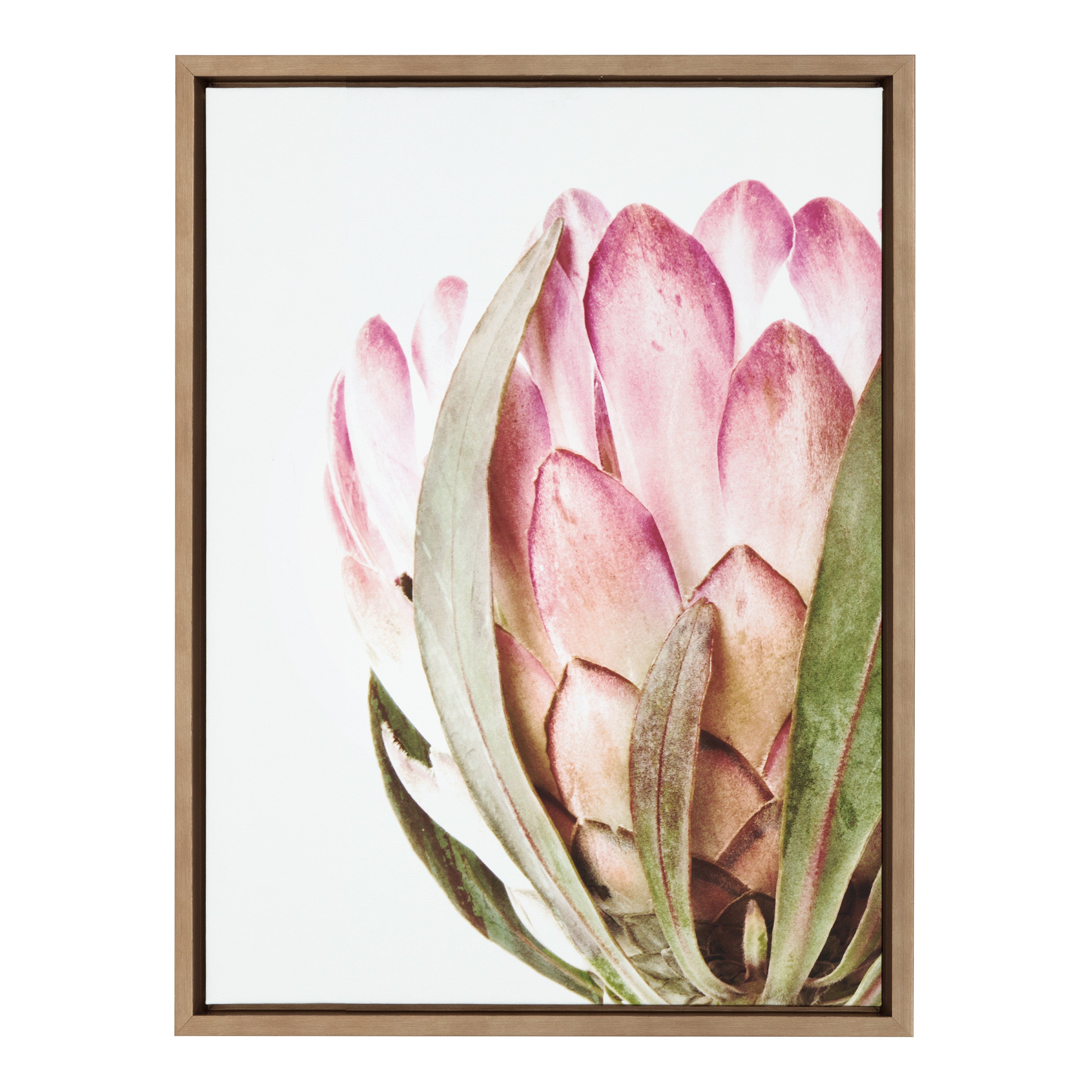 Sylvie Pink Protea Flower Framed Canvas by Amy Peterson