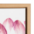 Sylvie Pink Protea Flower Framed Canvas by Amy Peterson