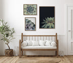 Sylvie Succulent Framed Canvas Set by Emiko and Mark Franzen of F2Images