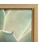 Sylvie Succulent 1 Framed Canvas by F2 Images