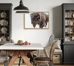 Sylvie Bison in Snow Framed Canvas by Amy Peterson Art Studio