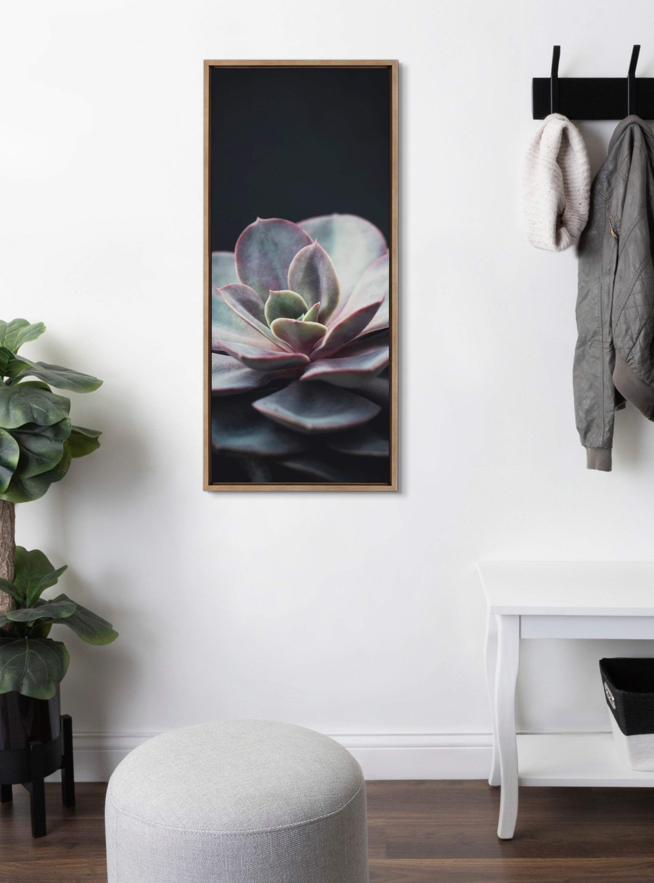 Sylvie Succulent 5 Framed Canvas by F2 Images
