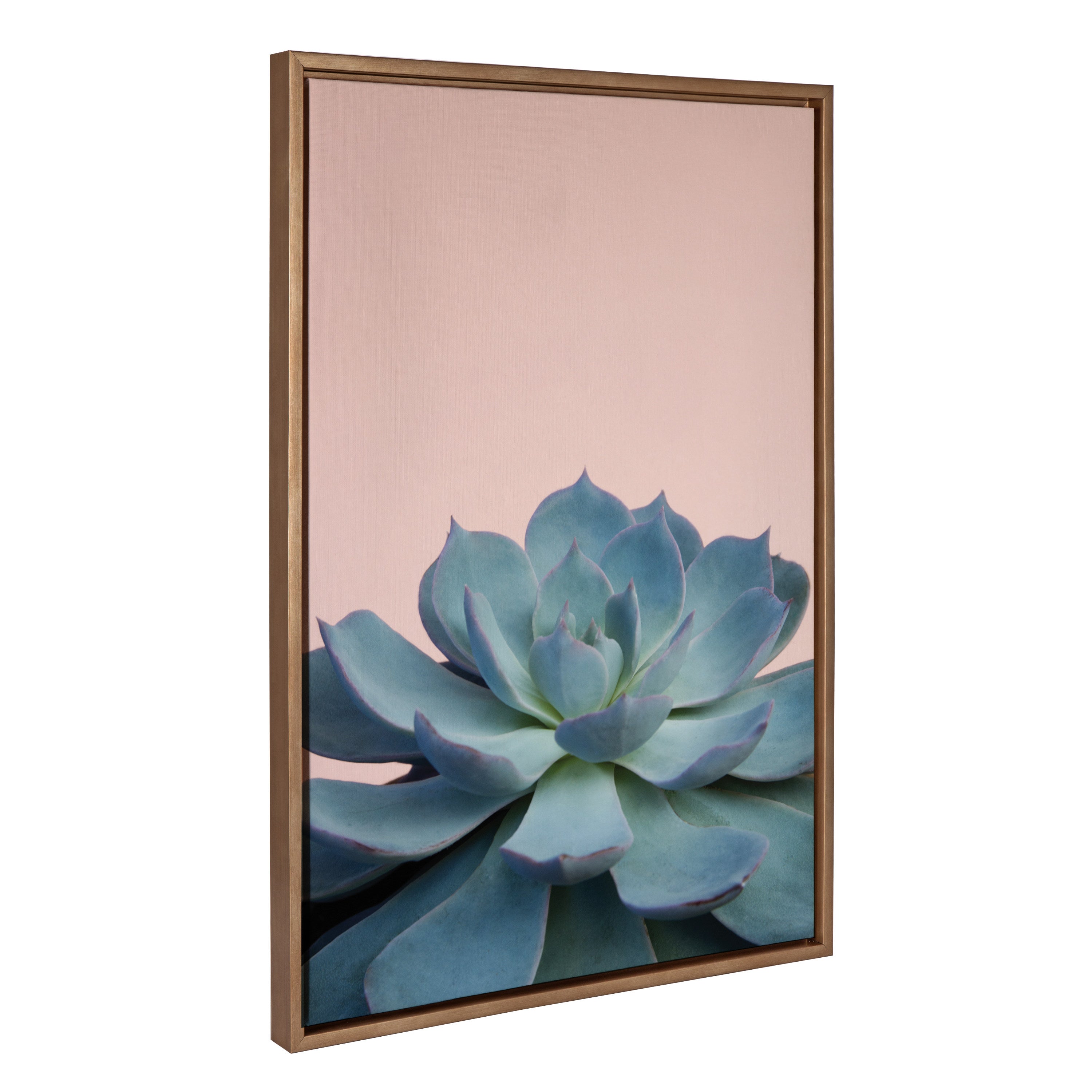 Sylvie Succulent 10 Framed Canvas by F2 Images