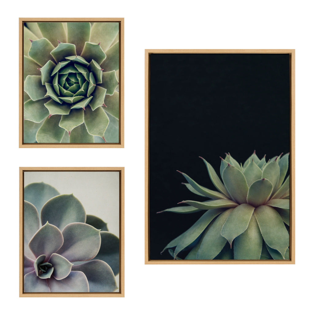 Sylvie Succulent Framed Canvas Set by Emiko and Mark Franzen of F2Images