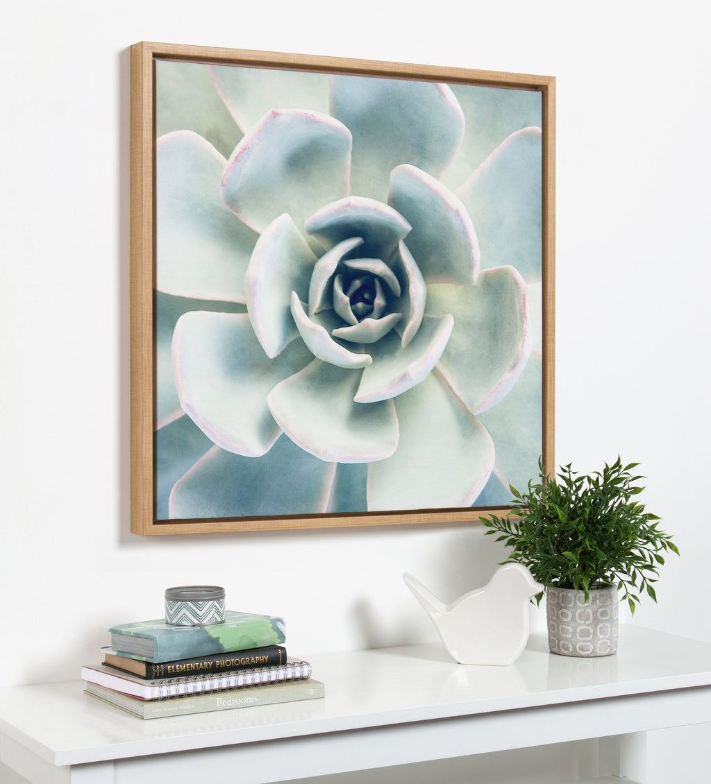 Sylvie Succulent 7 Framed Canvas by F2 Images