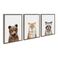 Sylvie Studio Bear, Studio Fox and Studio Raccoon Framed Canvas by Amy Peterson Art Studio
