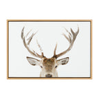 Sylvie Stag Peekaboo Framed Canvas by Amy Peterson Art Studio