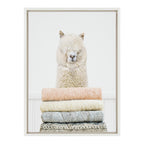 Sylvie Fold Alpaca Framed Canvas by Amy Peterson Art Studio
