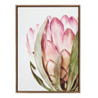 Sylvie Pink Protea Flower Framed Canvas by Amy Peterson