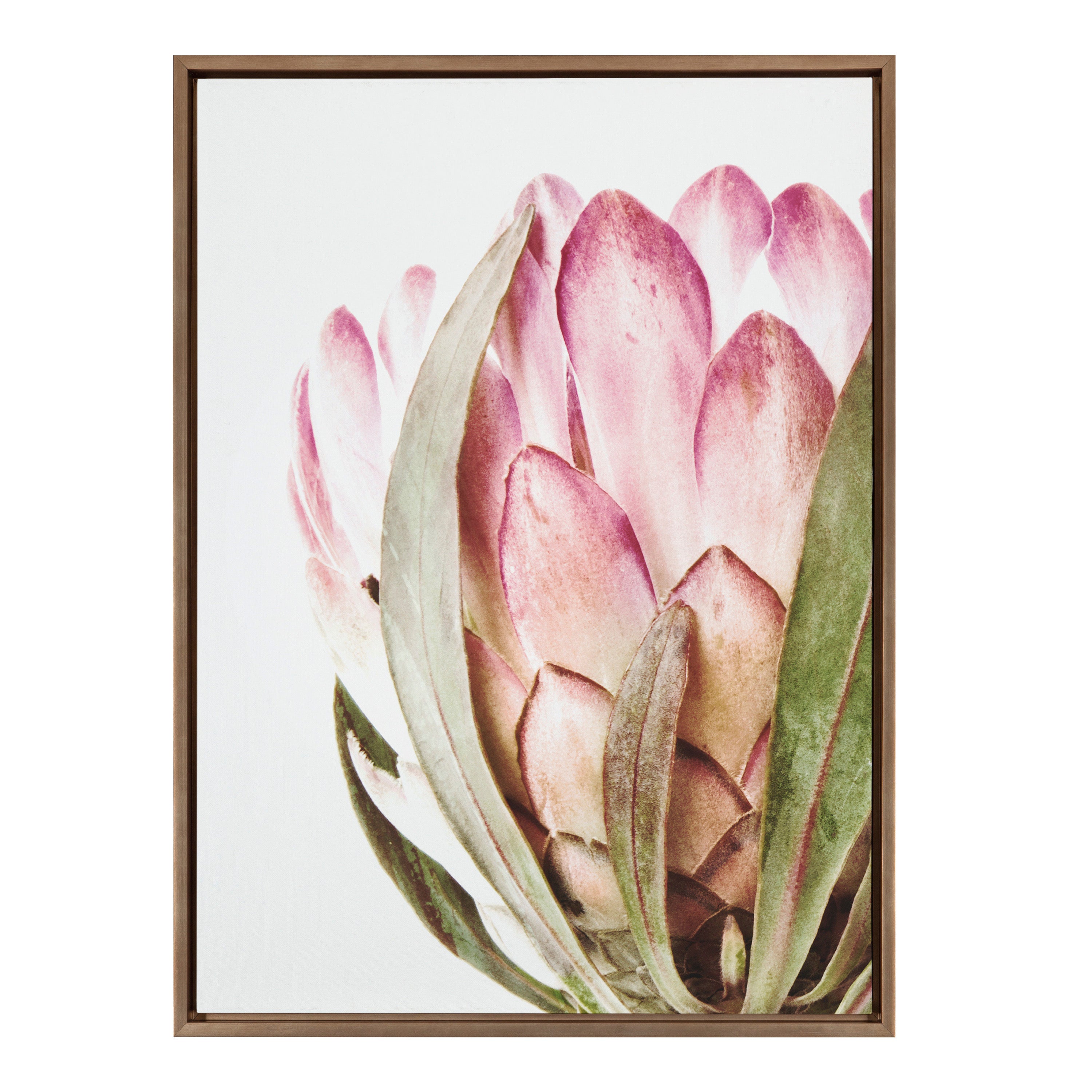 Sylvie Pink Protea Flower Framed Canvas by Amy Peterson
